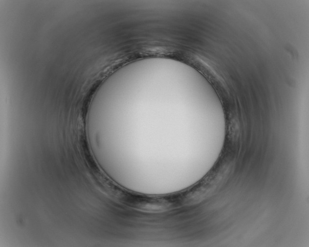 X0000113260459200909101253