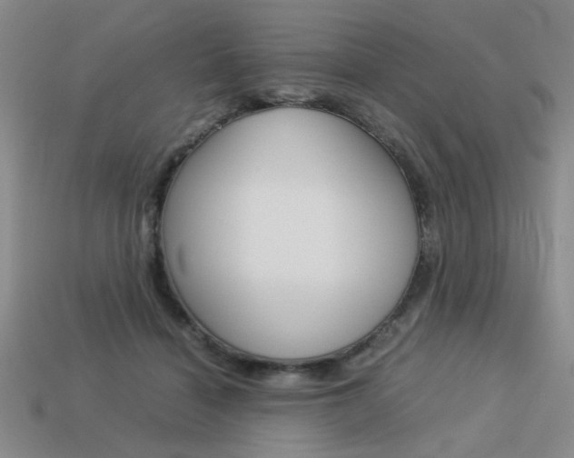 X0000113260460200909101253