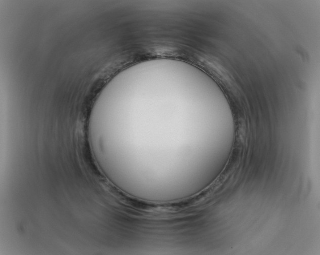 X0000113260461200909101253