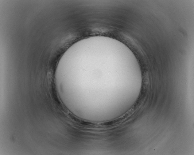 X0000113260463200909101253