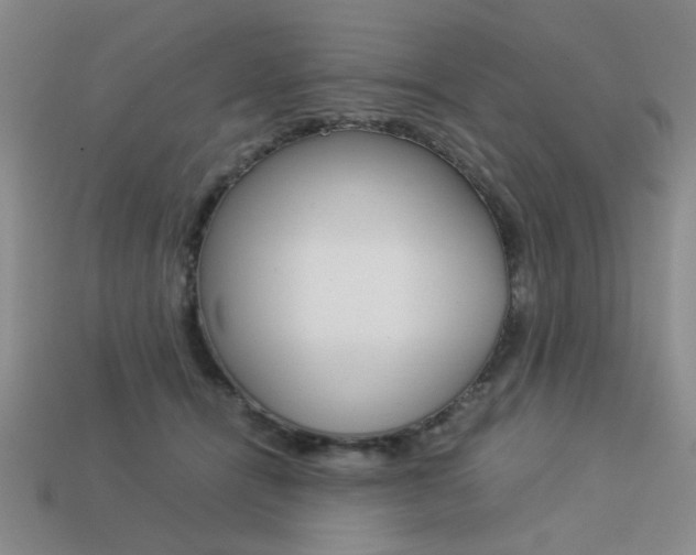 X0000113260464200909101253