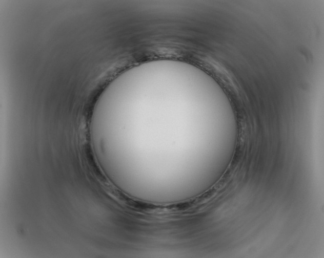 X0000113260465200909101253