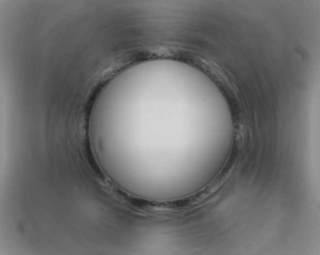 X0000113260466200909101253