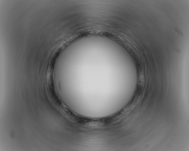 X0000113260468200909101254