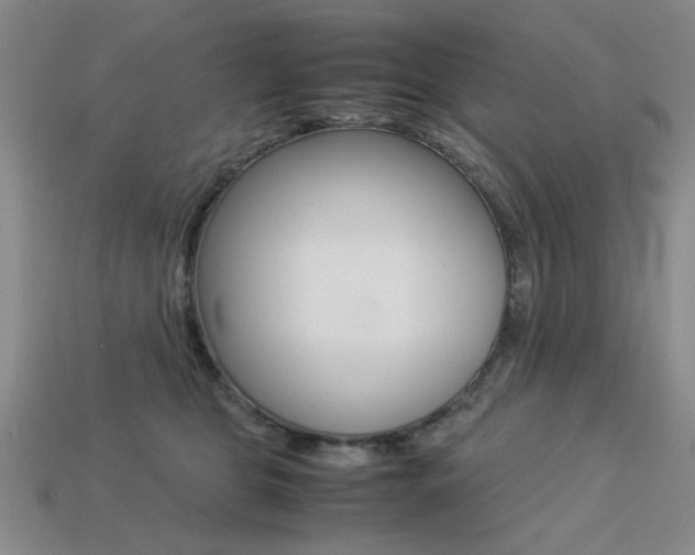 X0000113260469200909101254