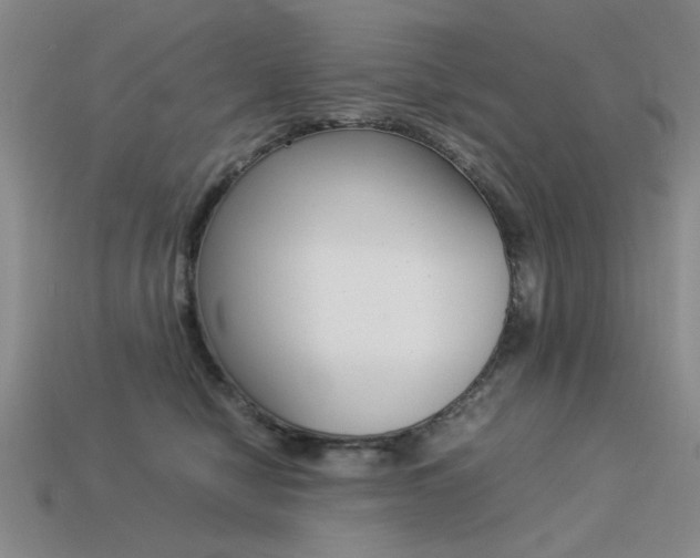 X0000113260470200909101254