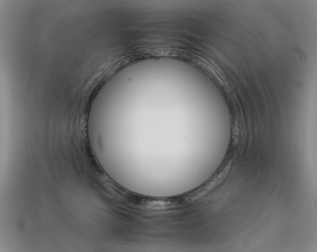 X0000113260473200909101254