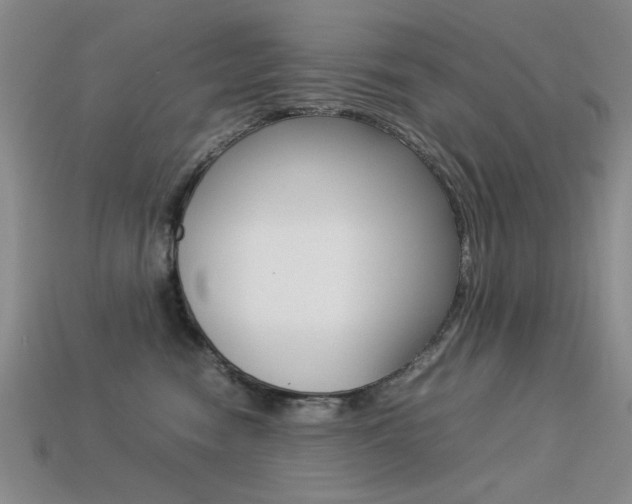 X0000113260474200909101254