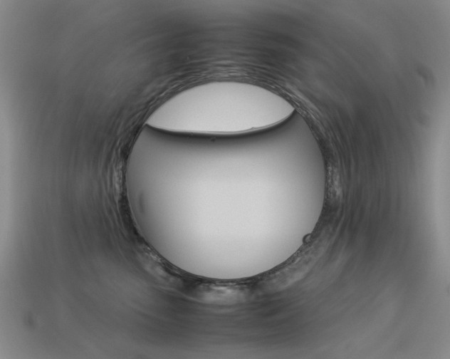 X0000113260475200909101254