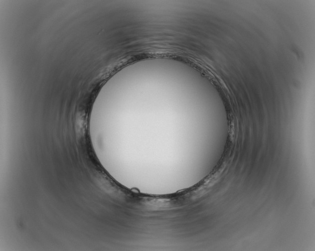 X0000113260476200909101254