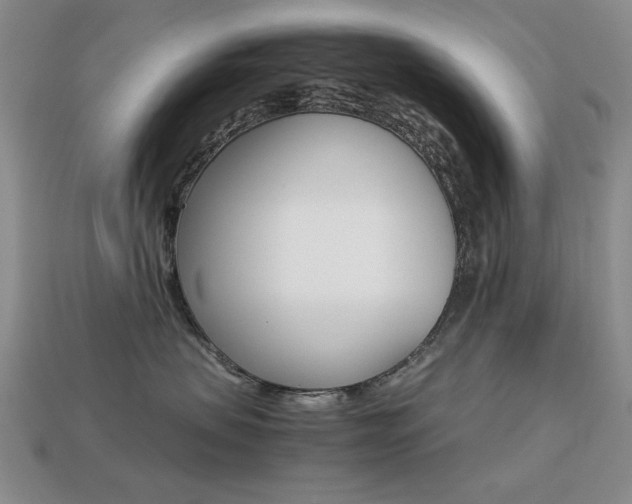 X0000113260479200909101254