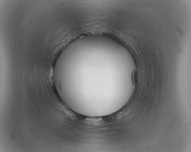 X0000113260480200909101254