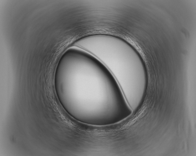 X0000113260481200909101253