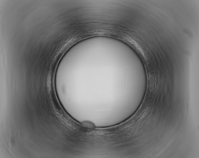 X0000113260482200909101253