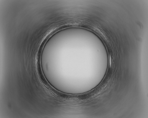X0000113260483200909101253