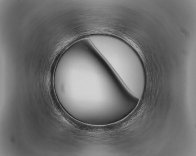 X0000113260485200909101253