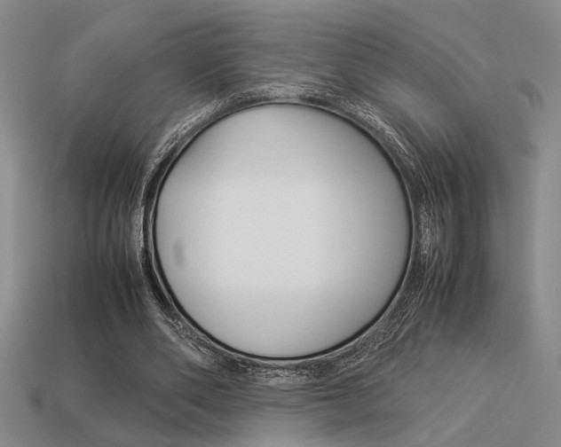 X0000113260486200909101253