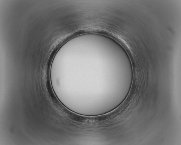 X0000113260487200909101253