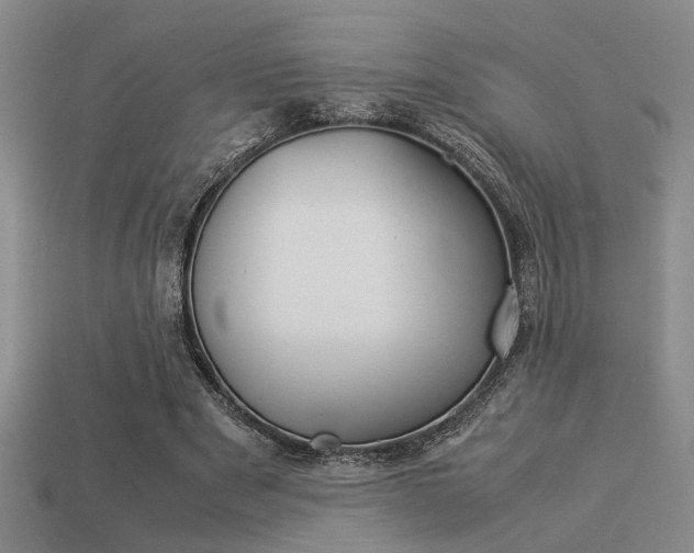 X0000113260489200909101253