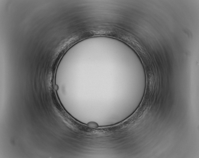 X0000113260490200909101253