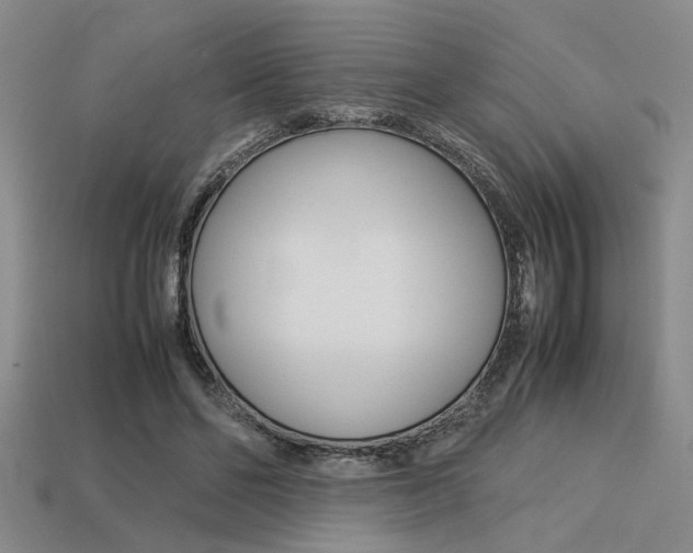 X0000113260494200909101253
