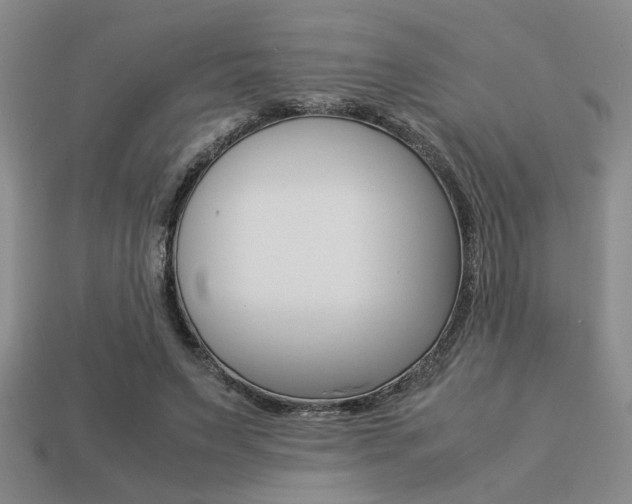 X0000113260495200909101253