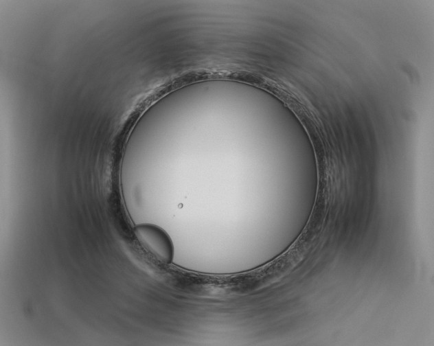 X0000113260496200909101253