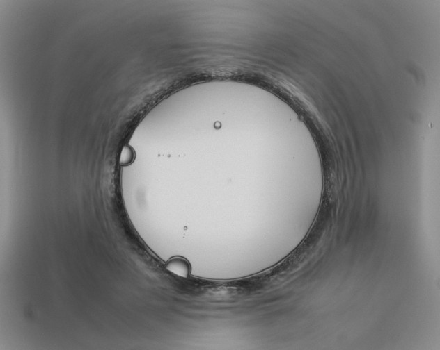 X0000113260497200909101253