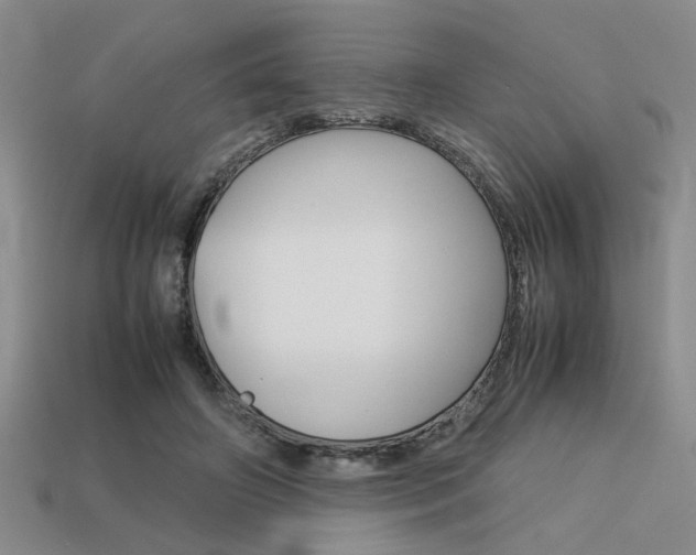 X0000113260498200909101253