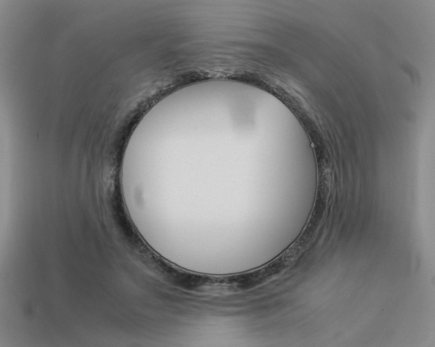 X0000113260499200909101253