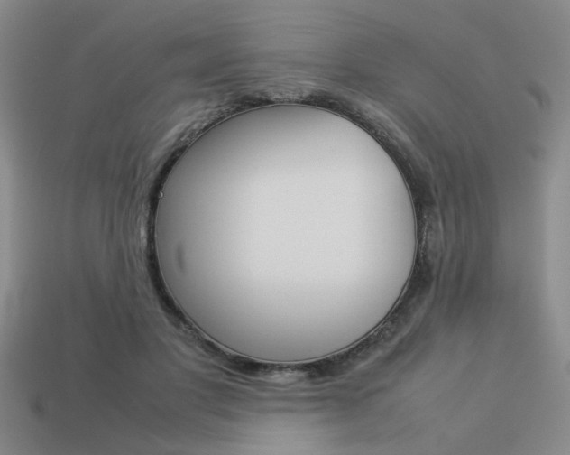X0000113260501200909101253