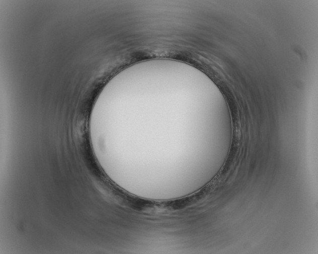 X0000113260503200909101253