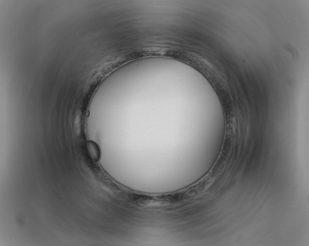 X0000113260504200909101253
