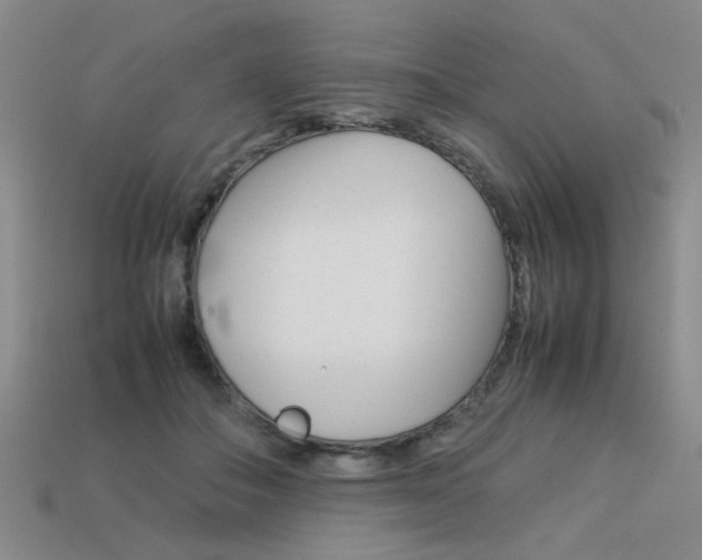 X0000113260506200909101253