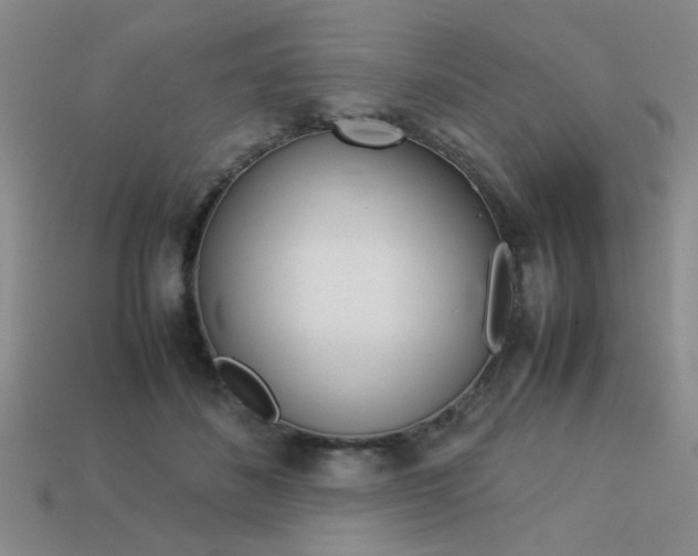 X0000113260508200909101253