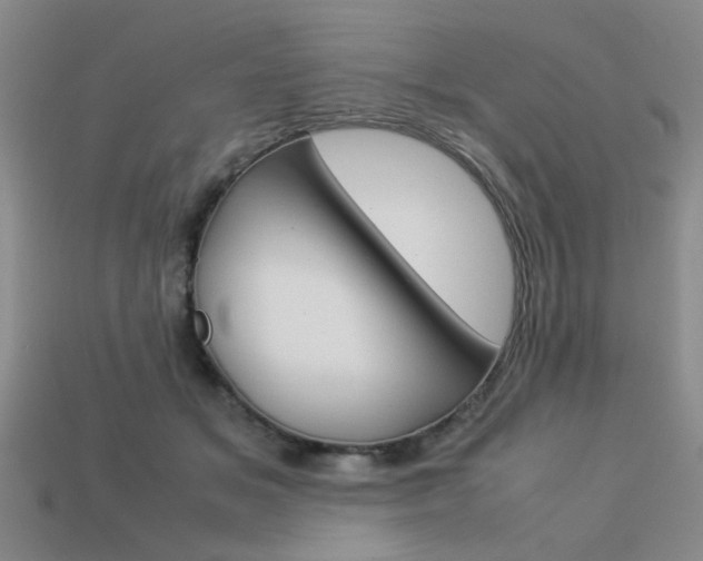 X0000113260509200909101253