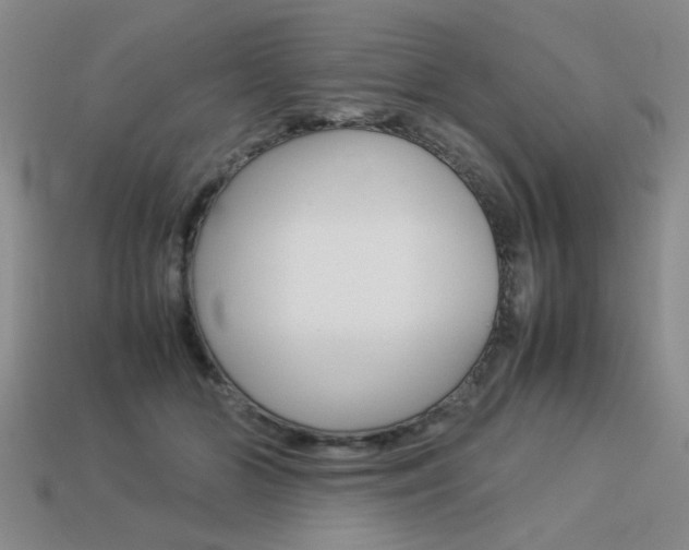 X0000113260510200909101253