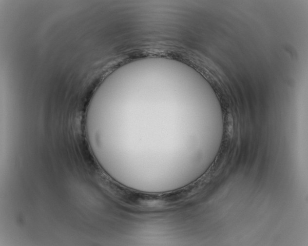 X0000113260514200909101253