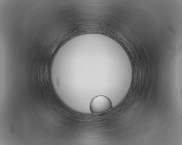 X0000113260516200909101253