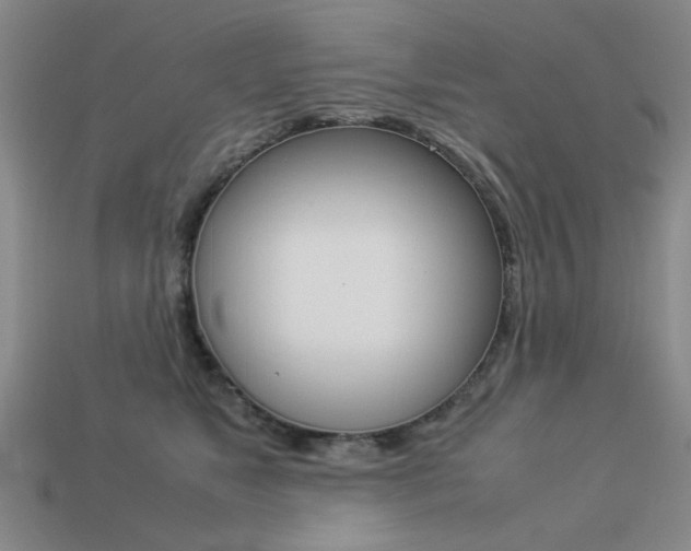 X0000113260517200909101253