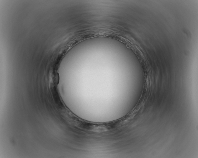 X0000113260520200909101253