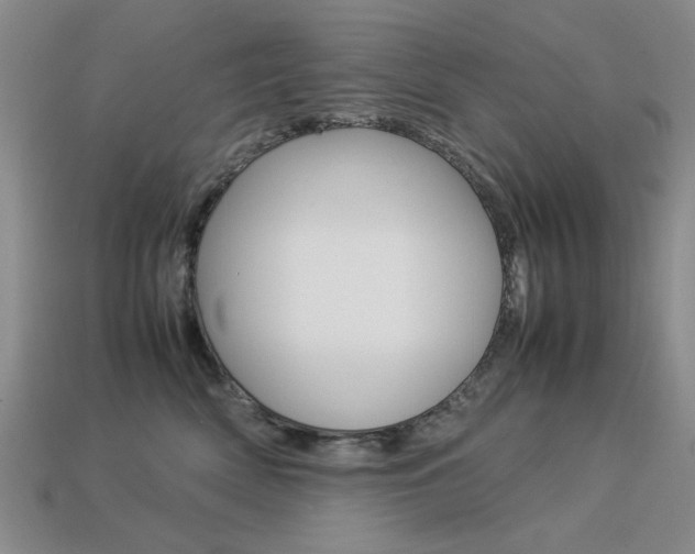 X0000113260522200909101253