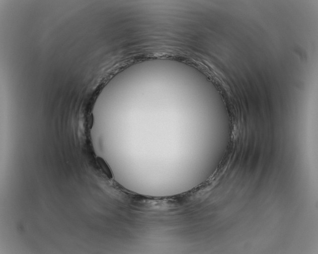 X0000113260524200909101253