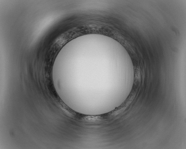 X0000113260526200909101252