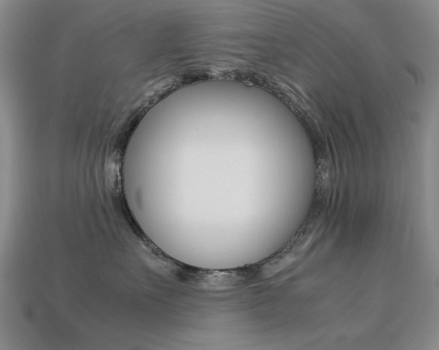 X0000113260527200909101252