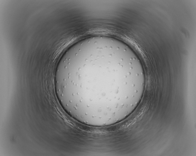 X0000113260529200909101252