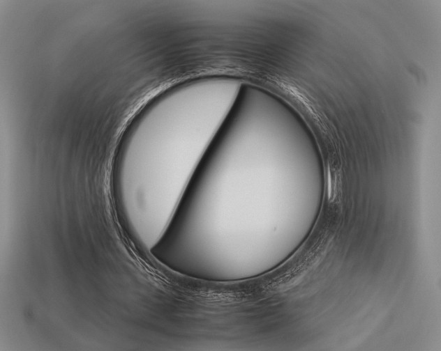 X0000113260531200909101252