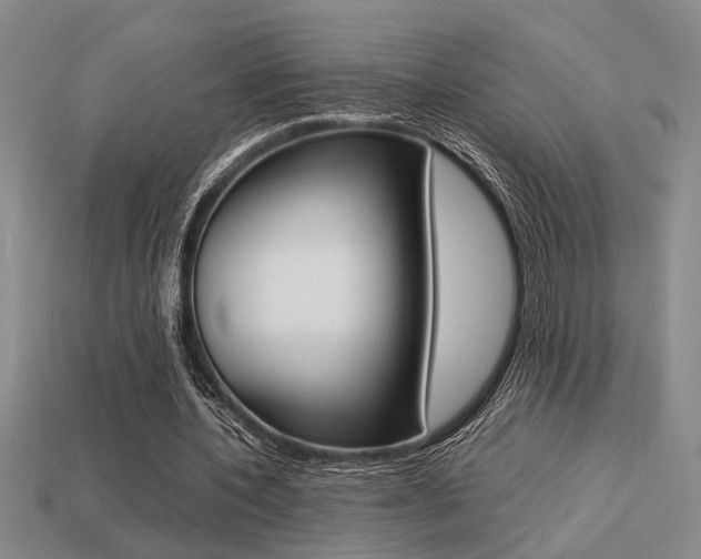 X0000113260532200909101252