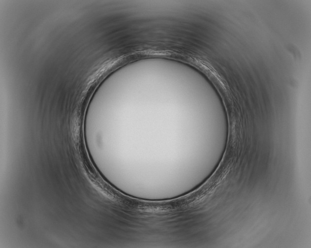 X0000113260533200909101252