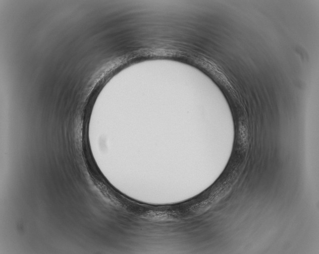 X0000113260534200909101252